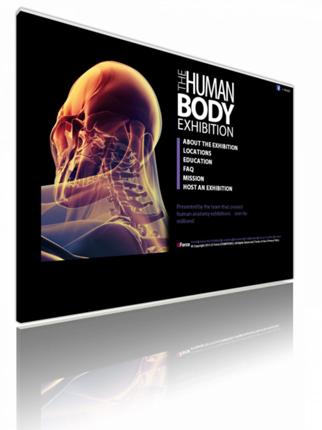 Atlanta-The Human Bodies Exhibition